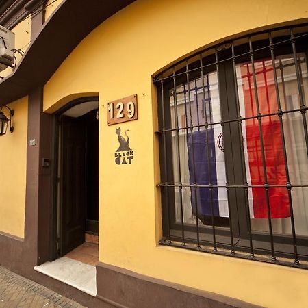 Black Cat Hostel Asuncion Экстерьер фото