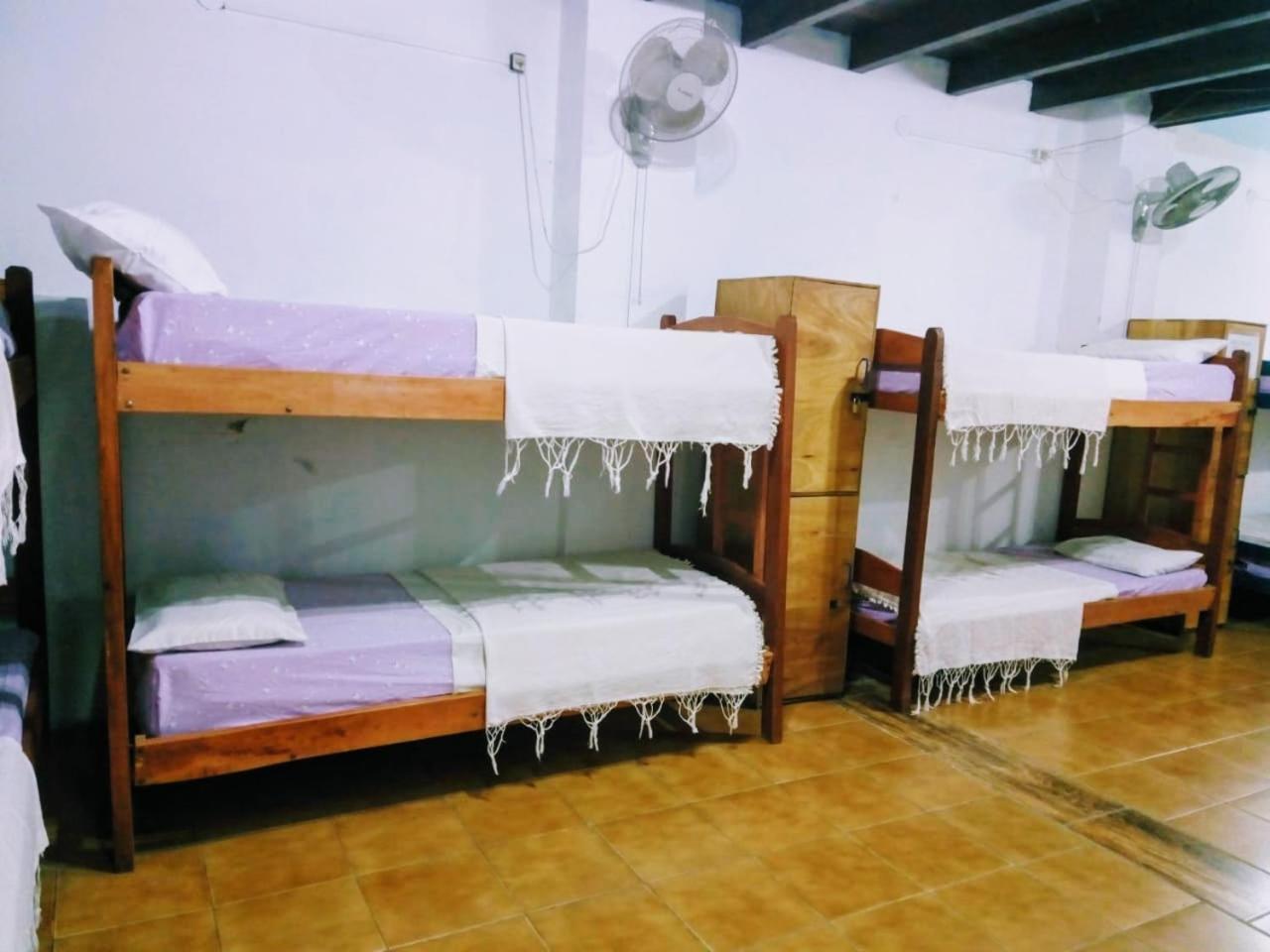 Black Cat Hostel Asuncion Экстерьер фото