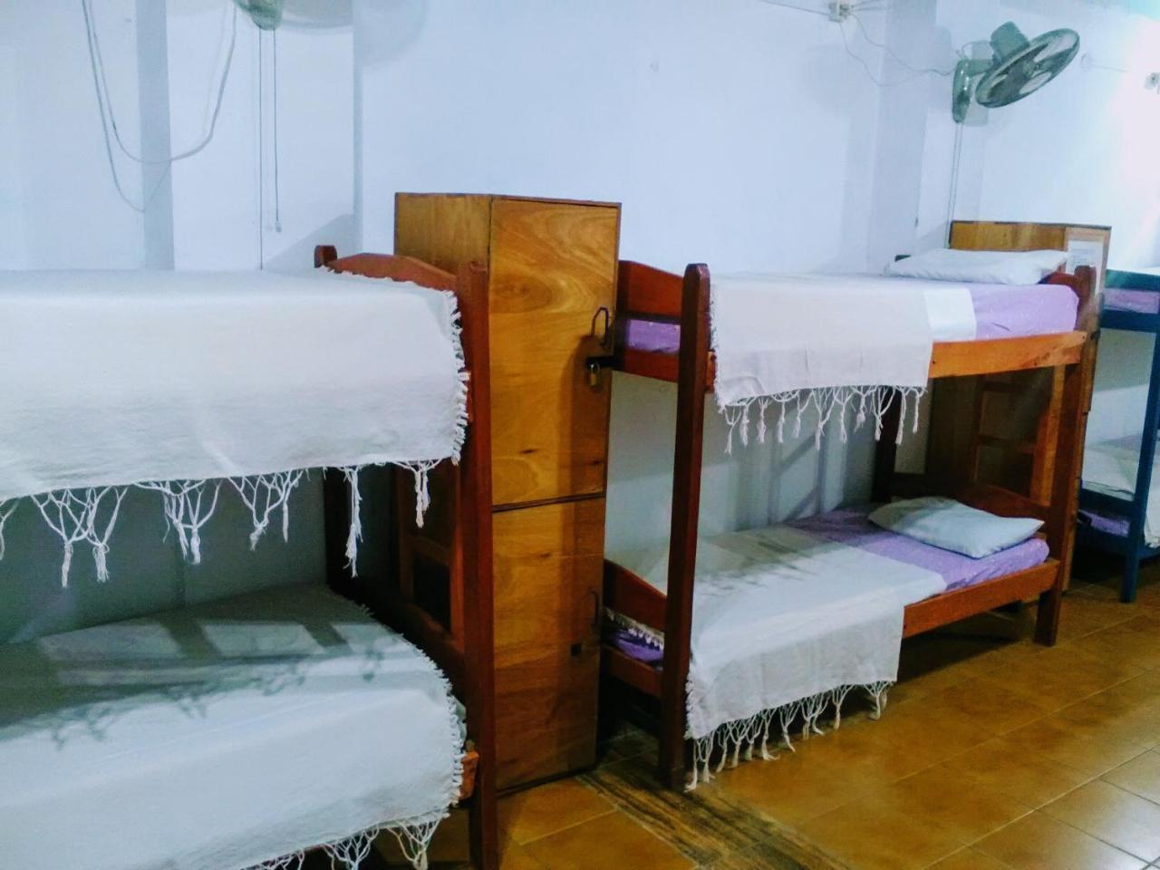 Black Cat Hostel Asuncion Экстерьер фото