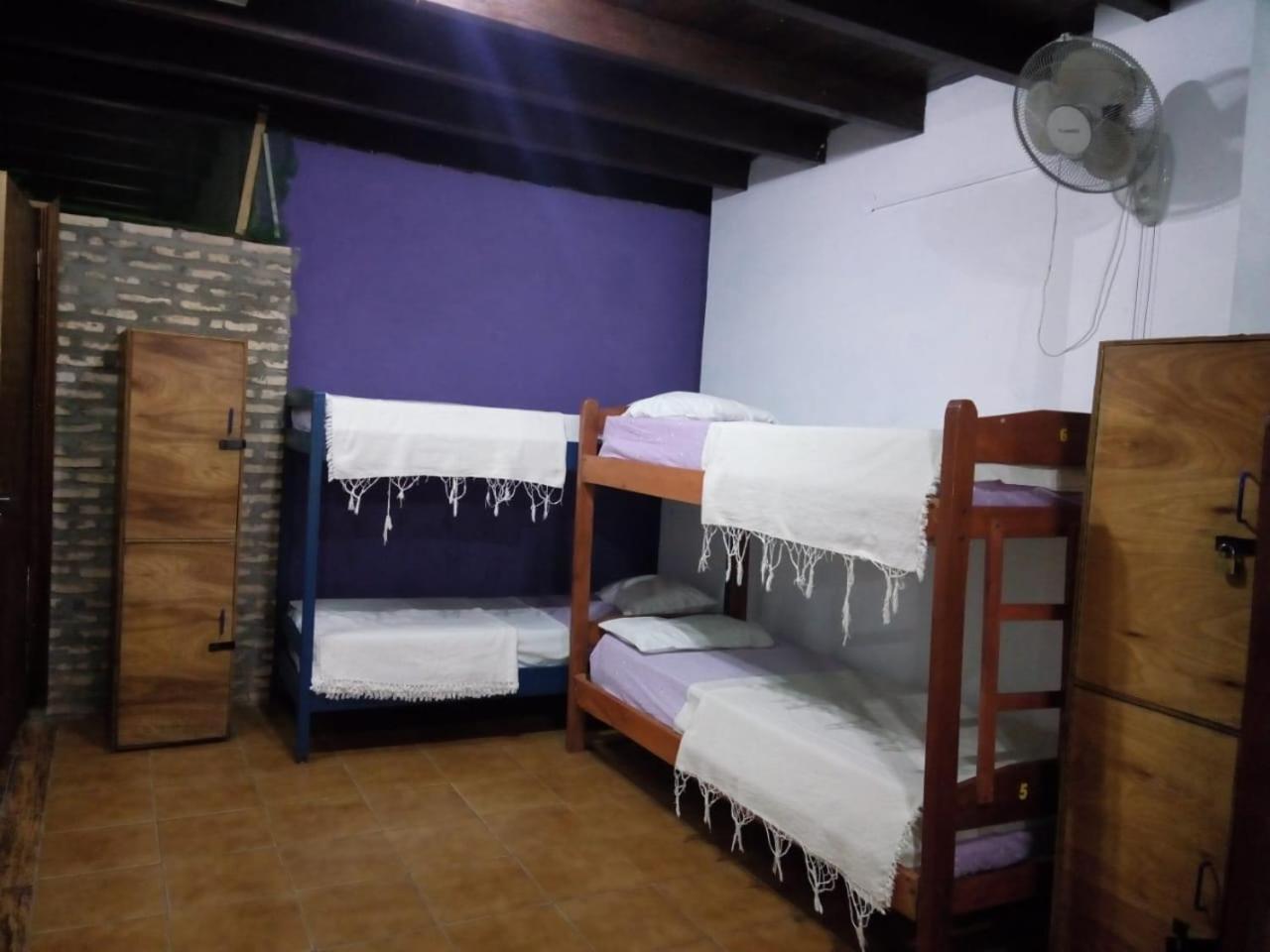 Black Cat Hostel Asuncion Экстерьер фото